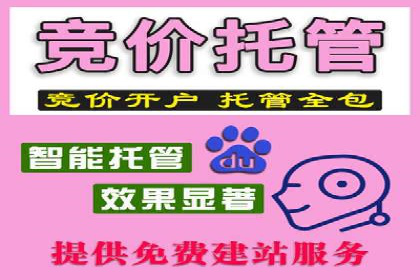 某电商平台的SEM推广策略——代运营公司的实践